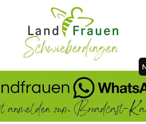 WhatsApp-Broadcast-Kanal